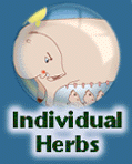 Go to Individual Herbs Cards